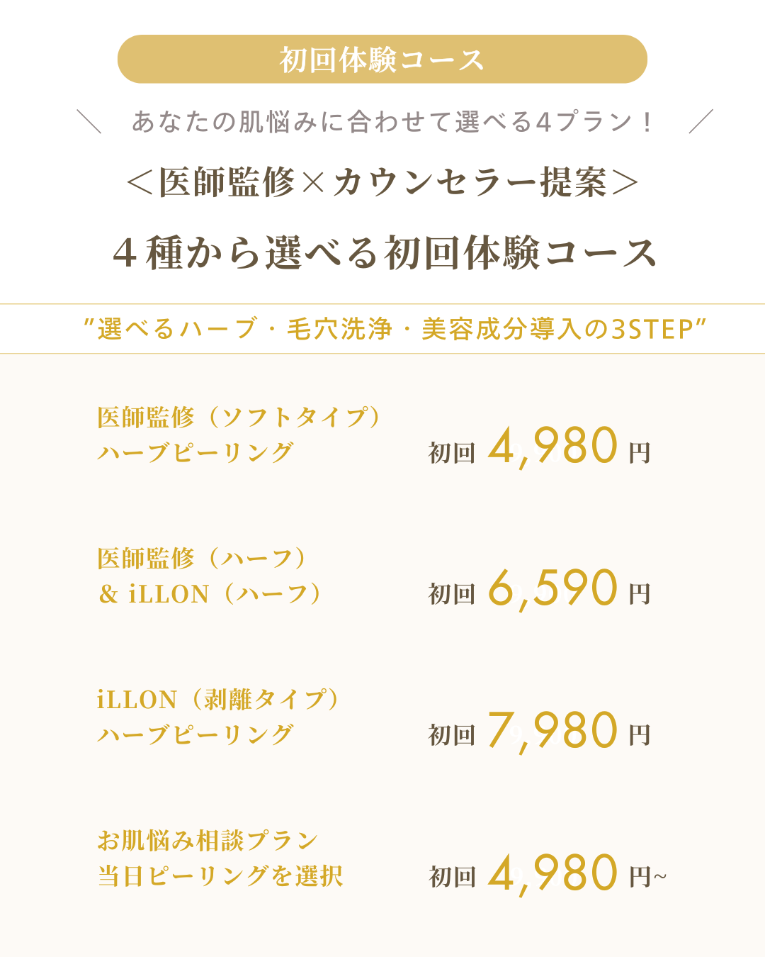 定額サブスクver2 (1)